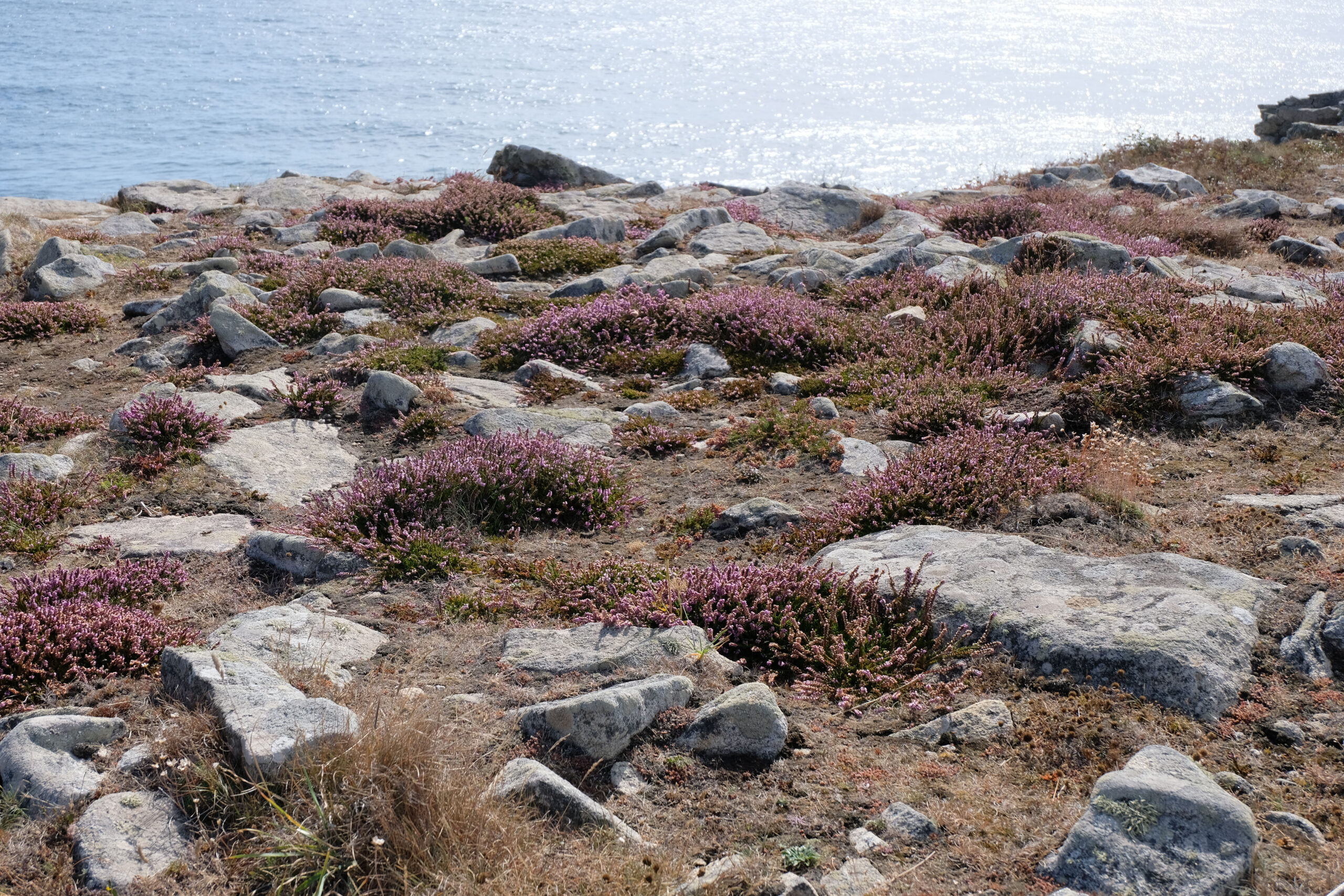 5 - Normandia e Bretagna in macchina il nostro itinerario - Point du Raz